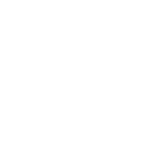 Domain Search & Transfer