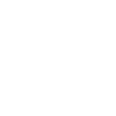 AI & Generative AI Technology Integration