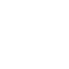 Domain Pricing & Renewal