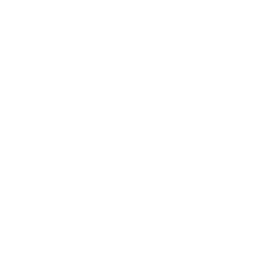 Custom AI Solutions Development