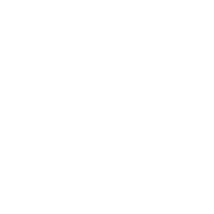 UX Audit