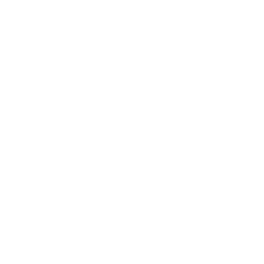 UI/UX Web Design