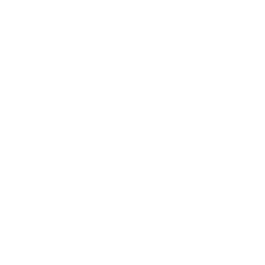 WooCommerce Development