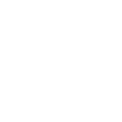 Shopify Ecommerce Development