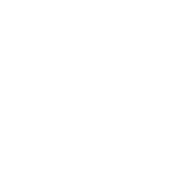 Search Engine Optimization (SEO)