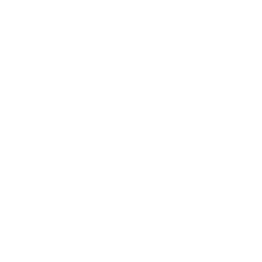 Flutter App Development
