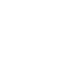 Web Testing